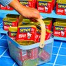 SPAM