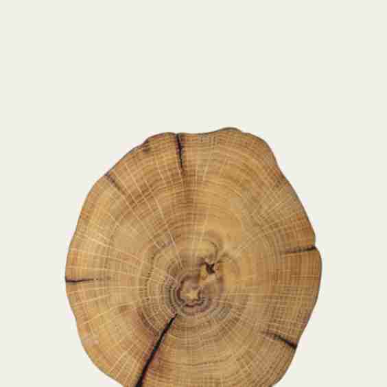 Woodland Placemat