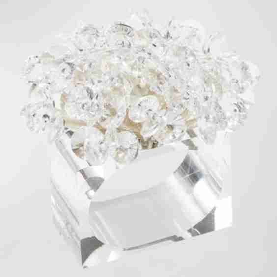 Aster Napkin Ring in Champagne