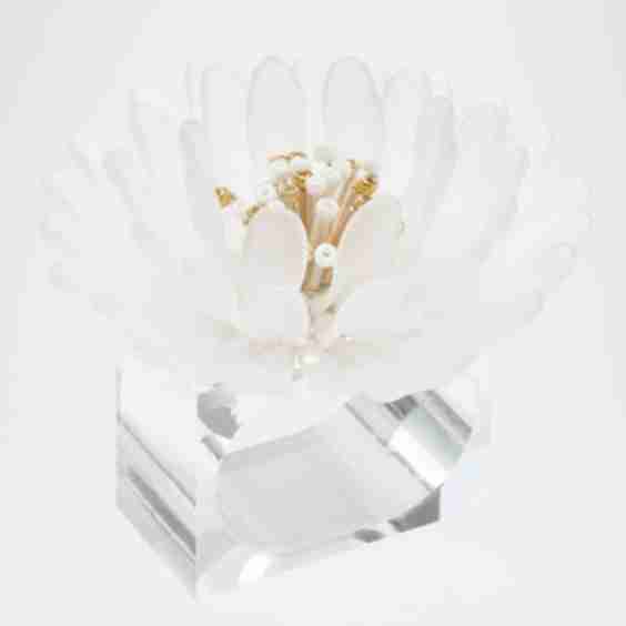 Cosmos Napkin Rings
