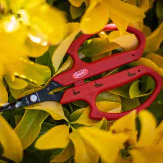 The Harvest Co. Reviews