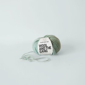 Wool and the Gang