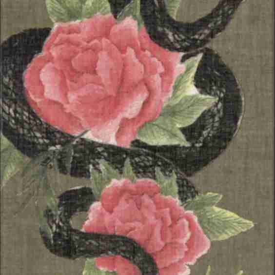 Year Of The Snake Notebook 