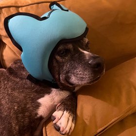PAWNIX