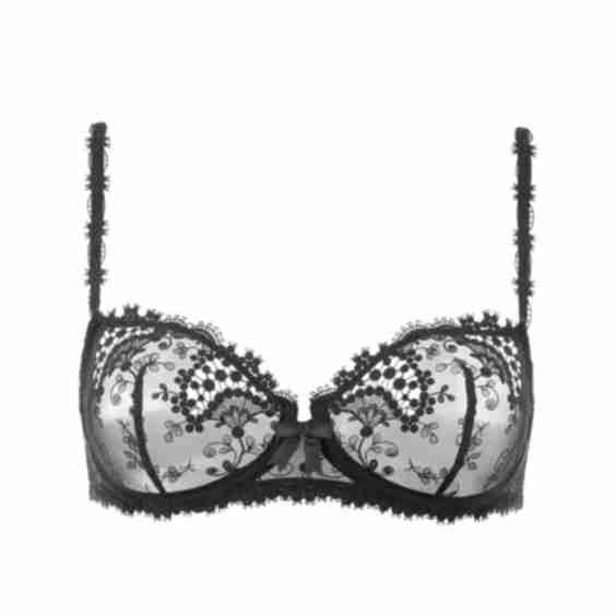 Wish Sheer Demi Bra
