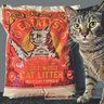 Catalyst Pet