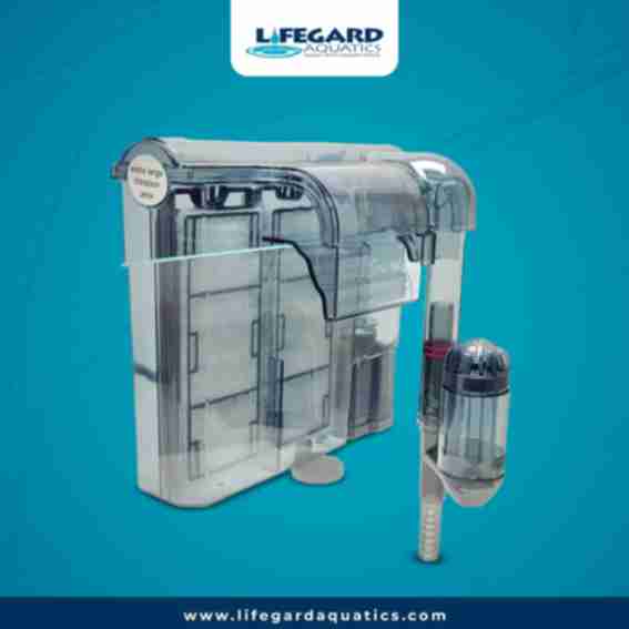 Lifegard Aquatics Reviews