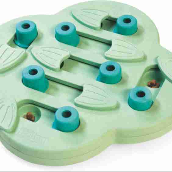 Dog Hide N`slide Pet Toy