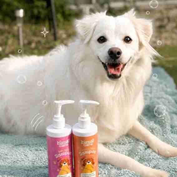 Bundi Care Reviews