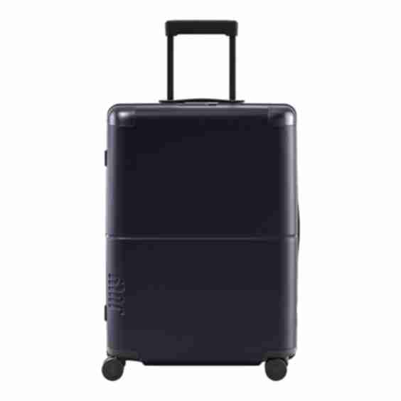 Checked Luggage