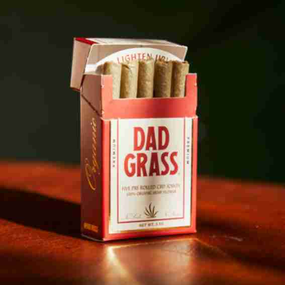 Dad Grass Reviews
