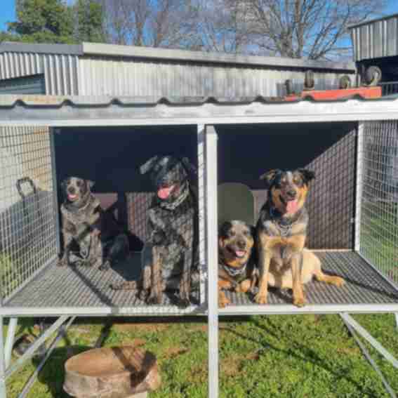 Farm & Yard Reviews