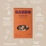 Babbo