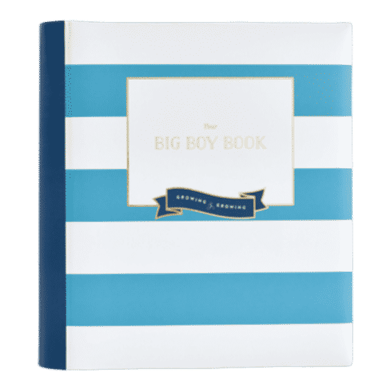 The Big Kid Book