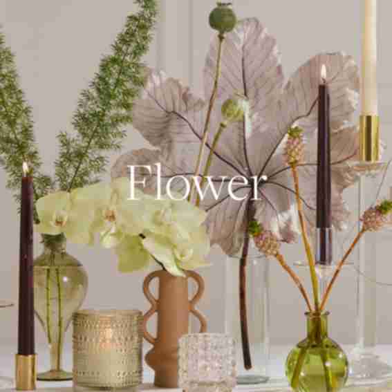 Accent Decor Reviews