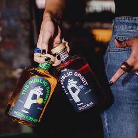 The Public Spirit