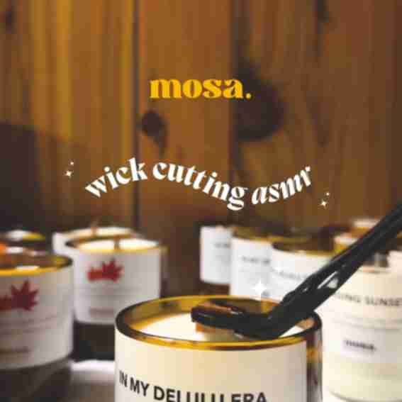 Mosa Reviews