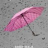 Shed Rain