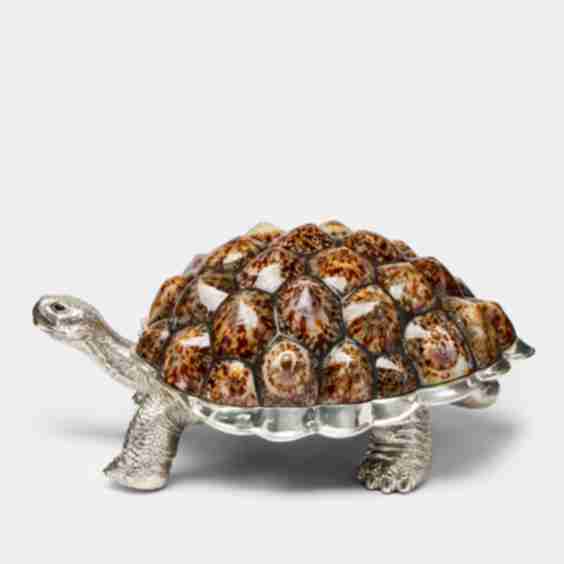 Galapagos Silver Plated And Shell Box