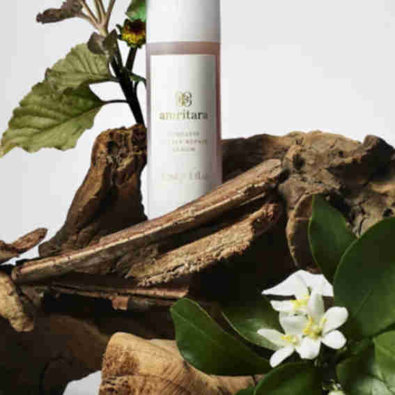 Amritara Reviews