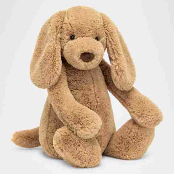 Bashful Toffee Puppy