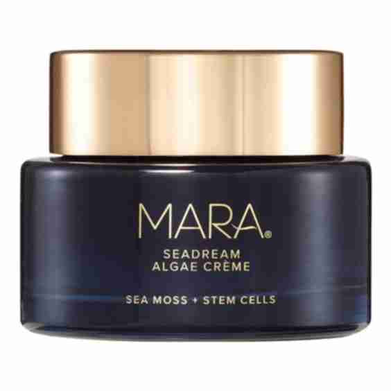 SeaDream Algae Creme Moisturizer for Firming & Tightening with Sea Moss + Peptides