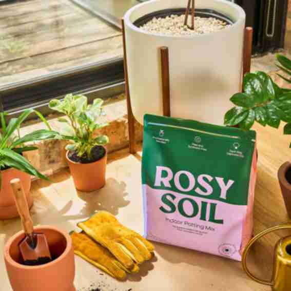 Rosy Soil Reviews