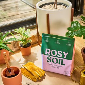 Rosy Soil