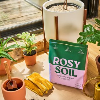Rosy Soil