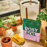 Rosy Soil