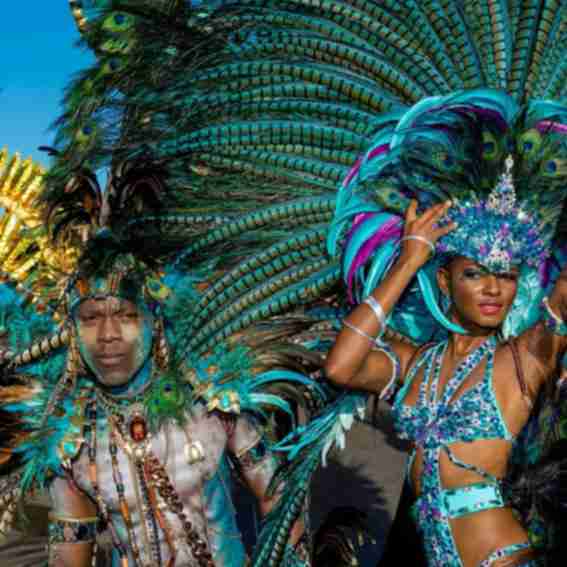 Schuman Feathers Reviews
