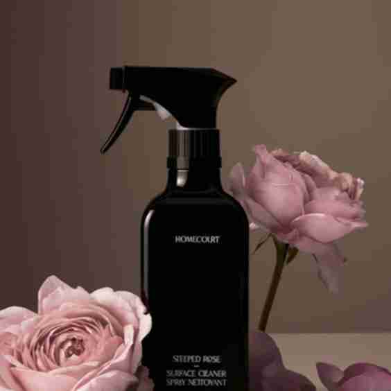 Surface Cleaner