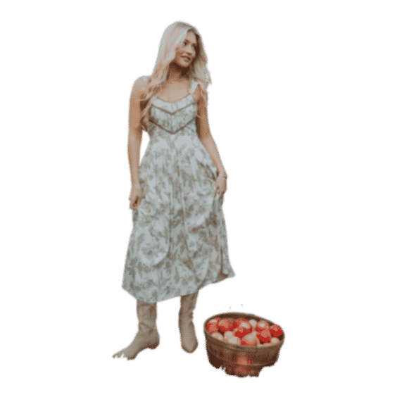 Isabelle Dress