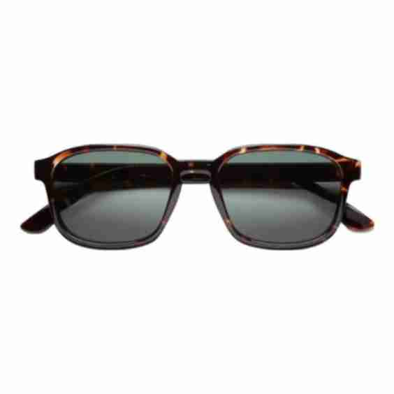 Sunseekers Sunglasses