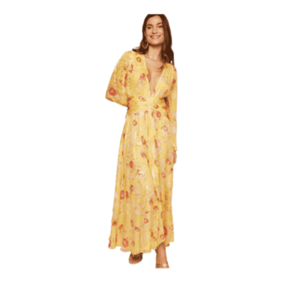 Meera Maxi Dress