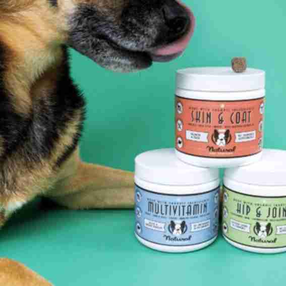 Natural Dog Company Reviews