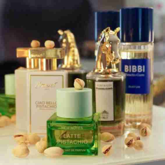 Beauty The Shop Reviews