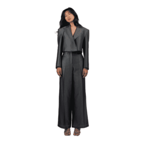 Sari Pant