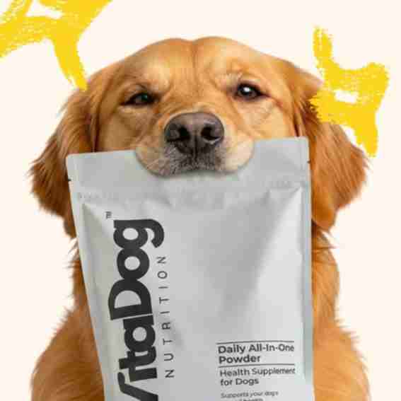 VitaDog Nutrition Reviews