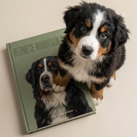 The Dog Book