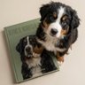The Dog Book