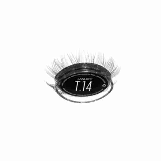 Tulip Gossamer Lash Collection
