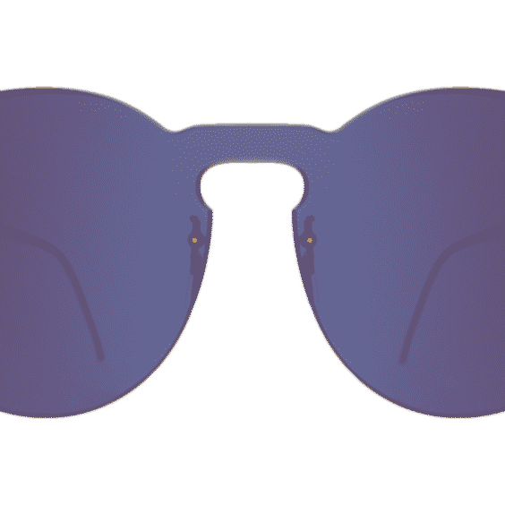 Leonard II Mask Sunglasses