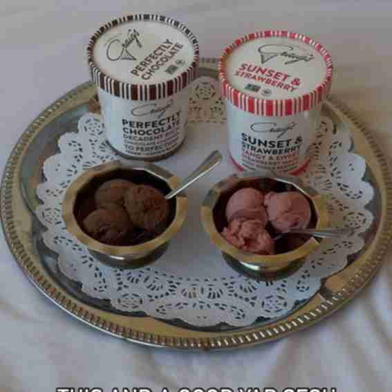 Craig's Vegan Ice Cream Reviews