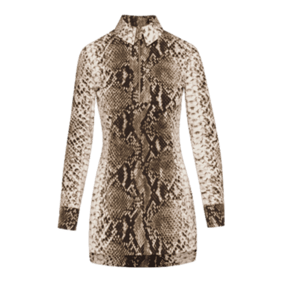 Snake Cotton Poplin Shirt Dress