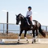 Divine Equestrian