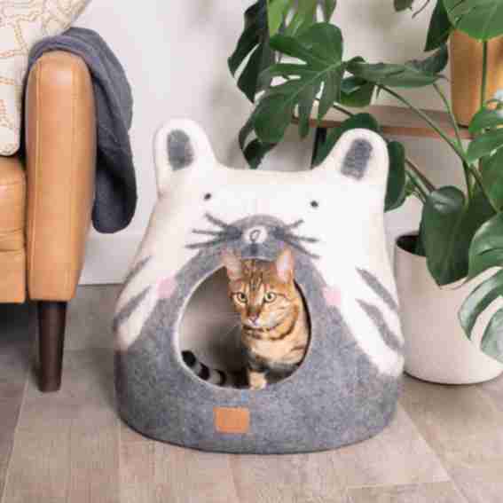 Fuzzy Cove Reviews
