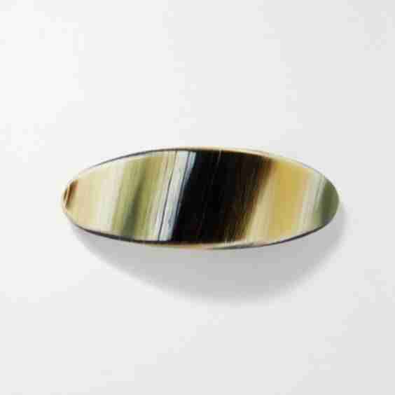 Mollusc Acetate Hair Clip