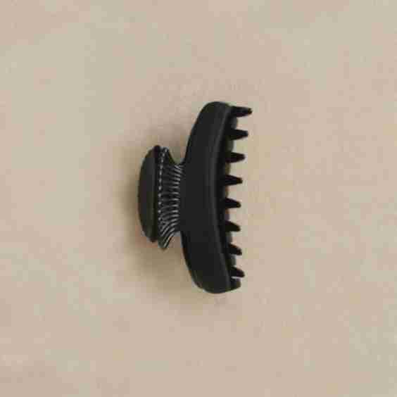 Fan Shell Claw Hair Clip