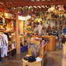 The Incovenience Store
